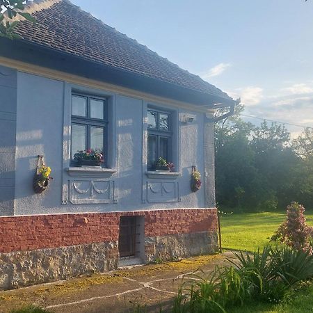 Apartmani Petkovic 226 Velika Drenova ภายนอก รูปภาพ