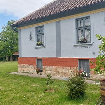 Apartmani Petkovic 226 Velika Drenova ภายนอก รูปภาพ