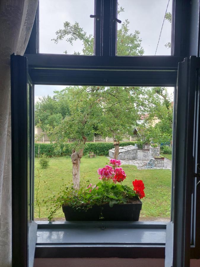 Apartmani Petkovic 226 Velika Drenova ภายนอก รูปภาพ