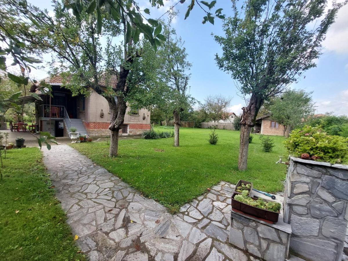 Apartmani Petkovic 226 Velika Drenova ภายนอก รูปภาพ