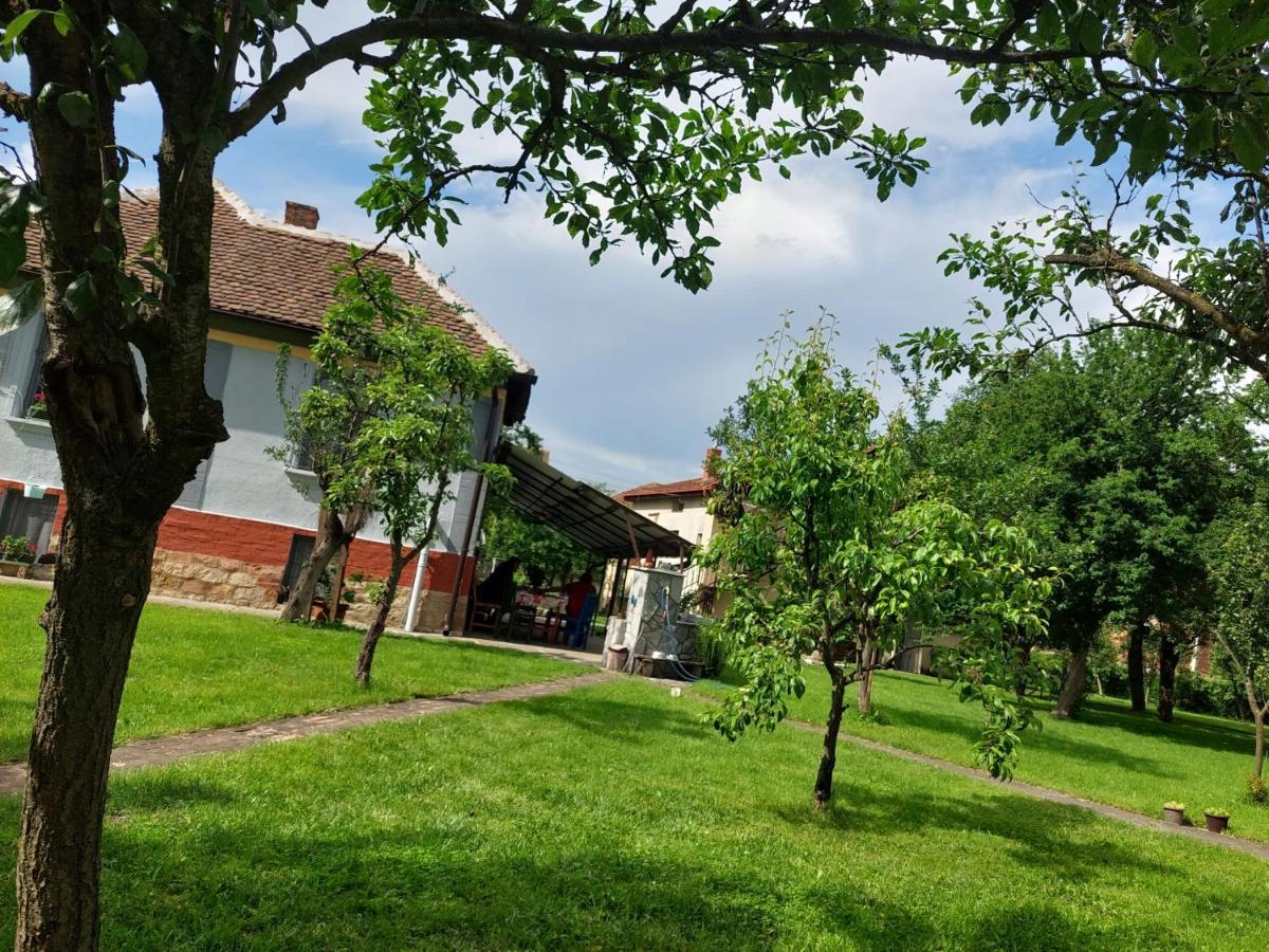 Apartmani Petkovic 226 Velika Drenova ภายนอก รูปภาพ